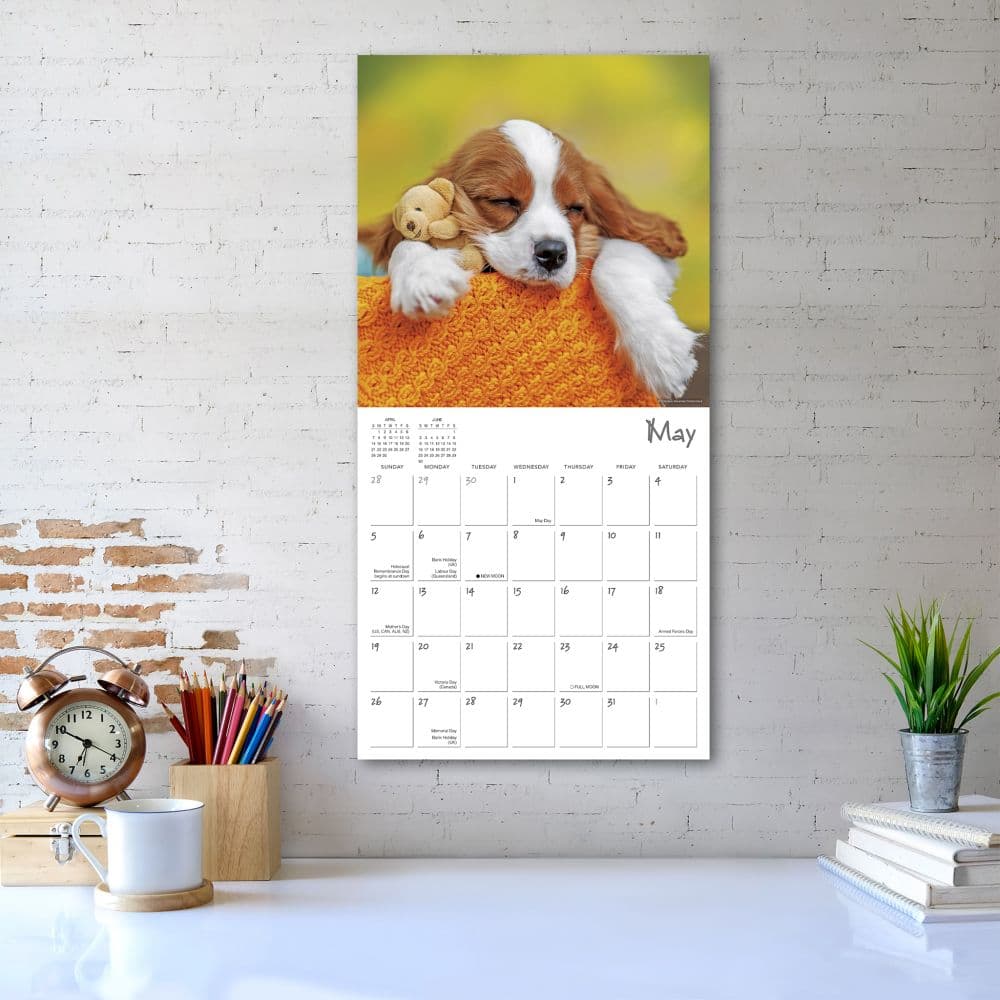 Pooped Puppies 2024 Wall Calendar Alternate Image 5