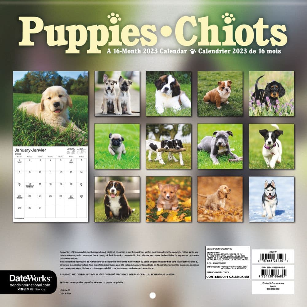 Dog Calendar 2023 Puppies Bilingual 2023 Wall Calendar