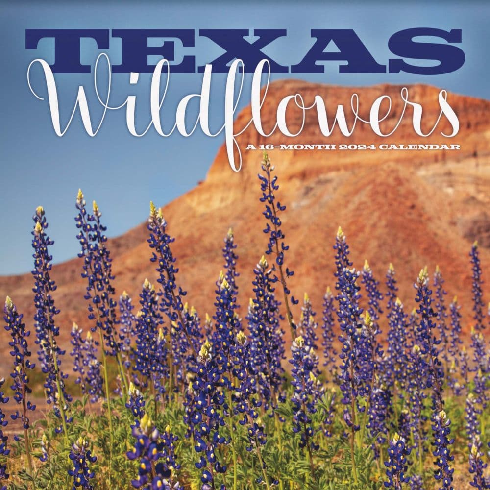 Texas Wildflowers 2024 Wall Calendar Main Image