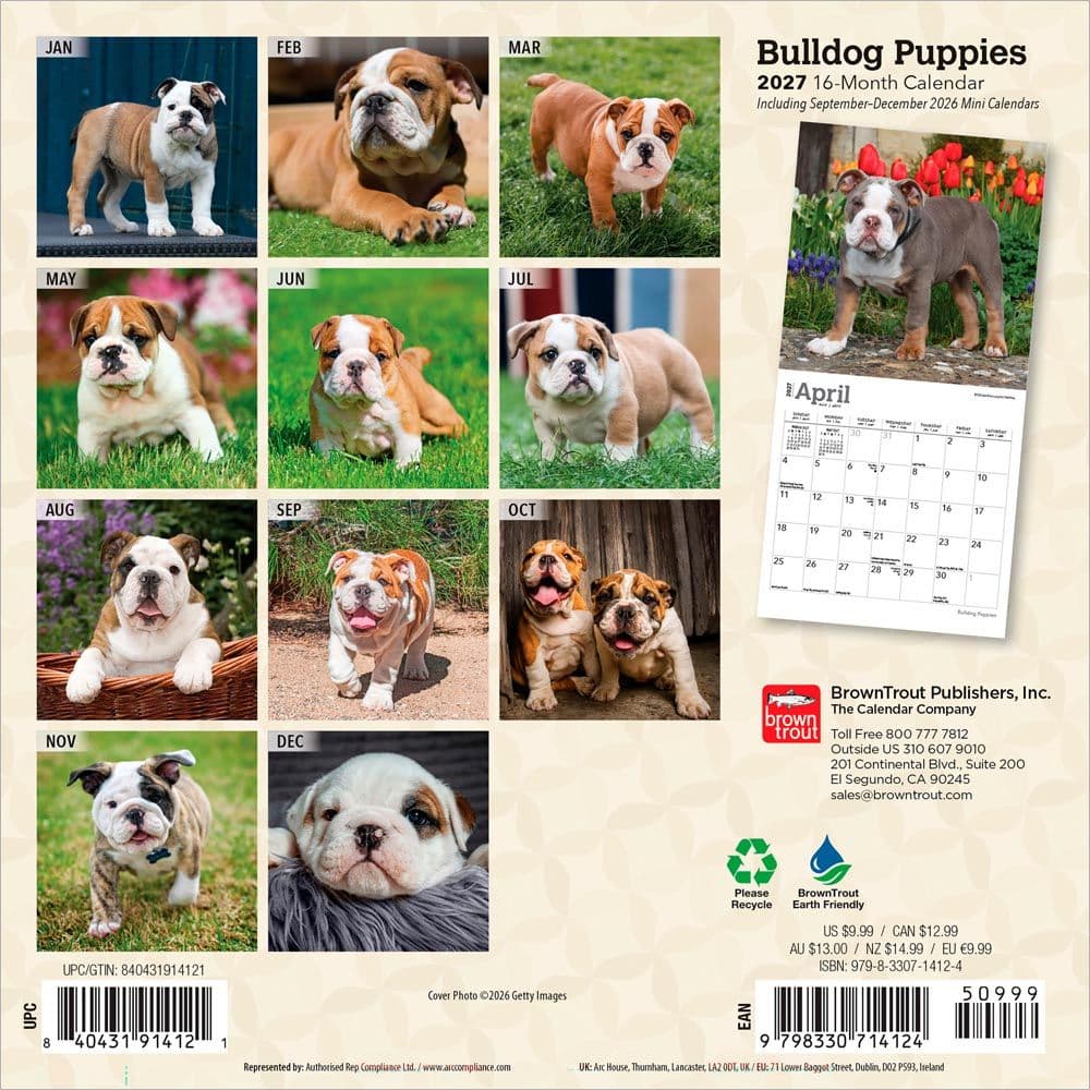 Bulldog Puppies 2027 Mini Wall Calendar First Alternate Image