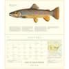 image Trout of North America 2027 Wall Calendar