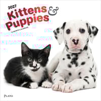 image Kittens And Puppies Plato 2027 Wall Calendar Main Product Image