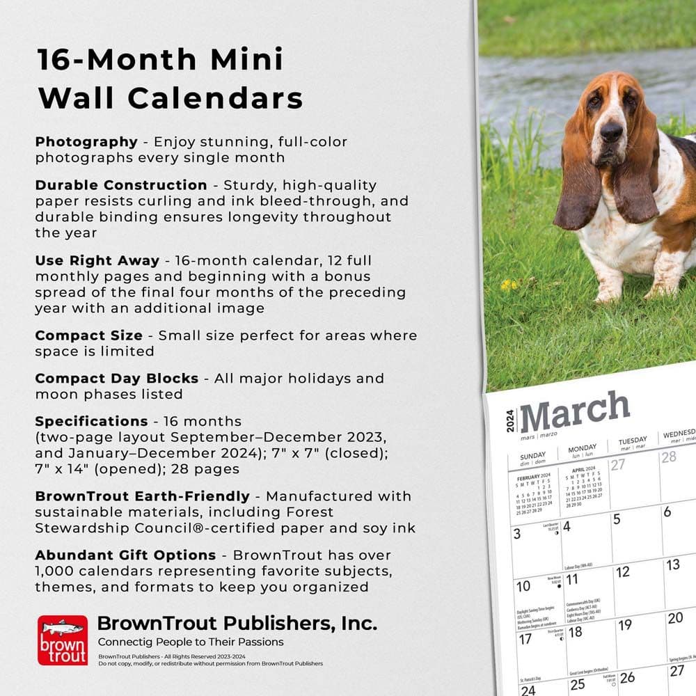 Basset Hound 2024 Mini Wall Calendar Fourth Alternate Image width=&quot;1000&quot; height=&quot;1000&quot;