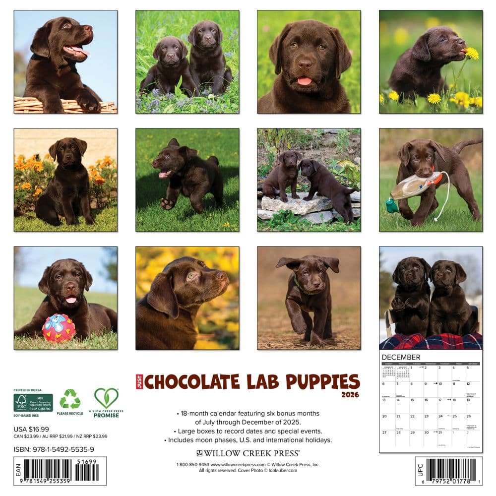 Just Chocolate Puppies 2026 Wall Calendar First Alternate Image