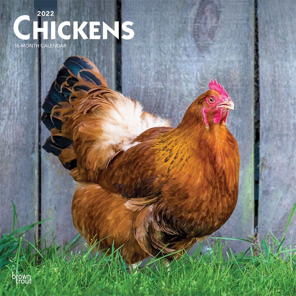 Chickens 2022 Wall Calendar