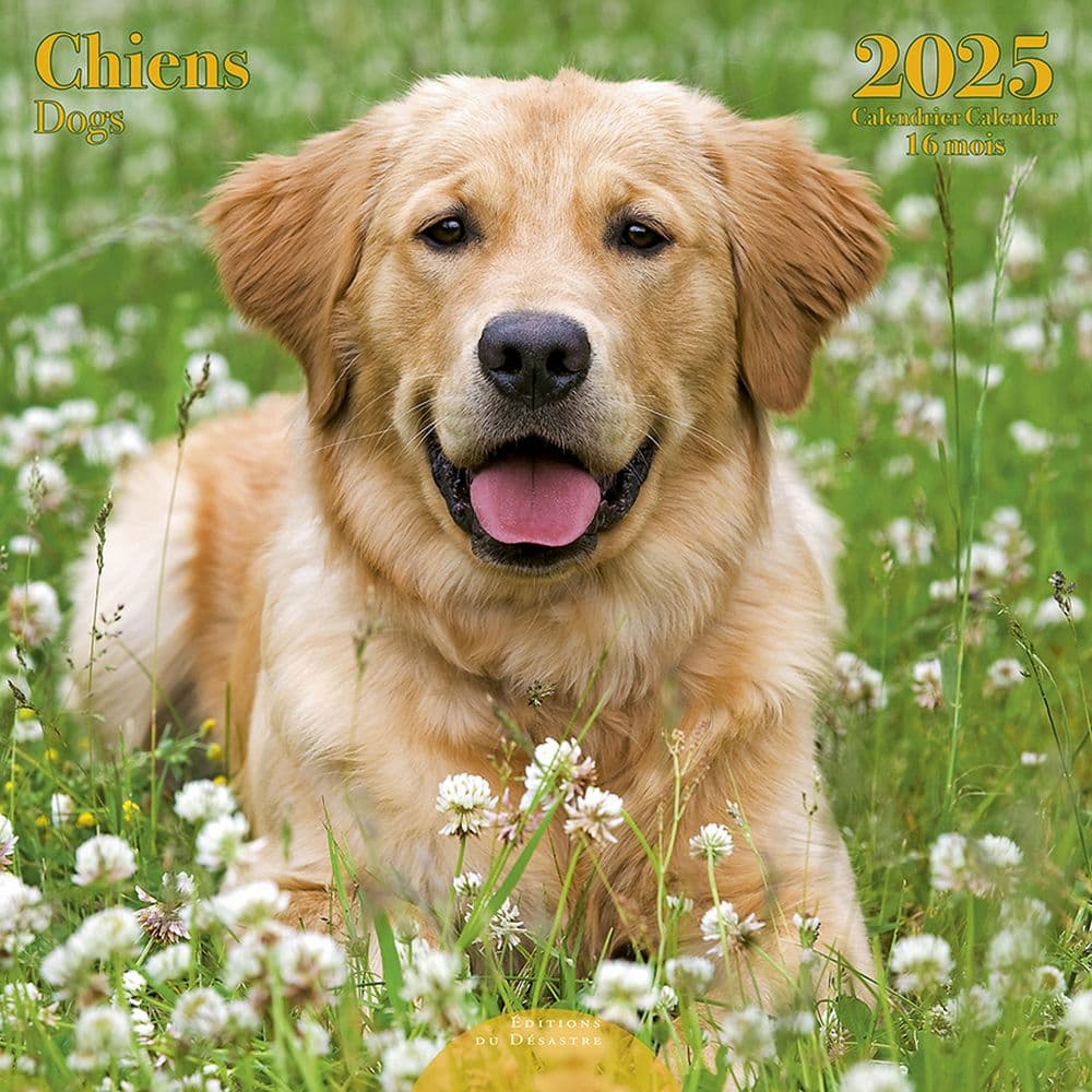 Dogs 2025 Wall Calendar