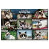 image Grumpy Cat 1000 Piece Puzzle