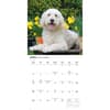 image Goldendoodles 2026 Wall Calendar Second  Alternate Image