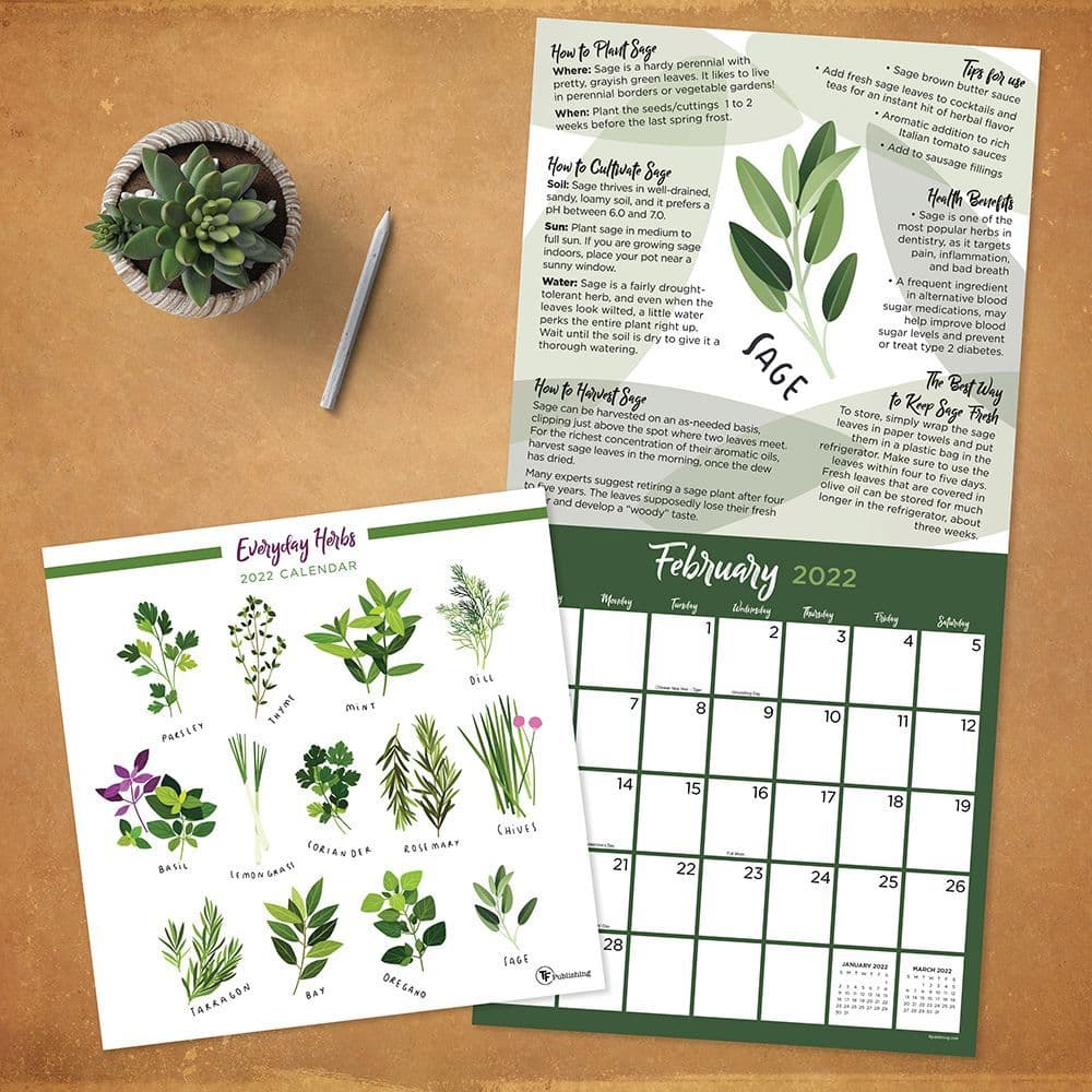 herbs 2022 wall calendar calendarscom