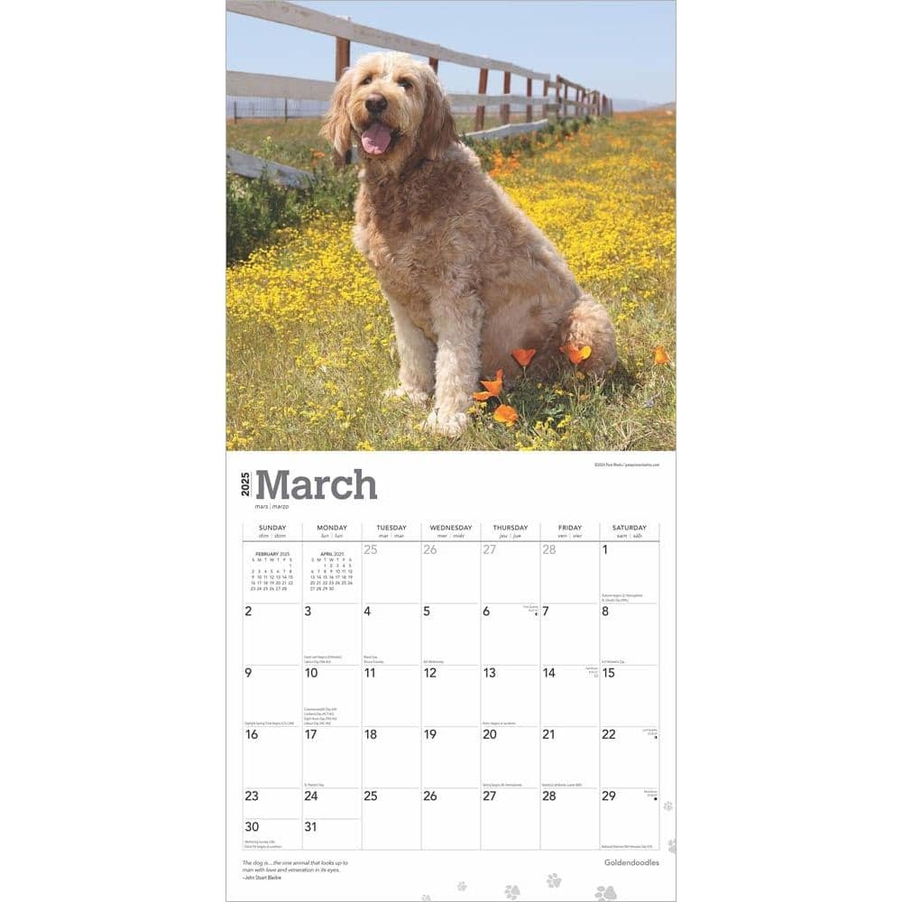 Goldendoodles 2025 Wall Calendar Second Alternate Image