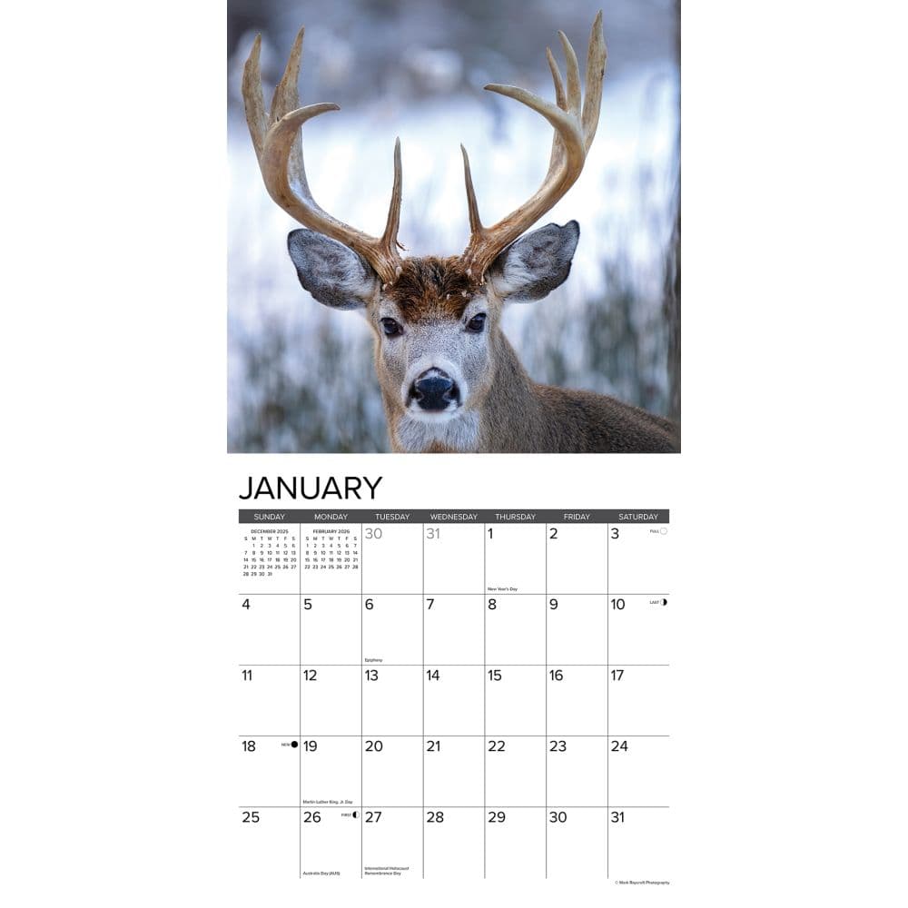 Monster Bucks 2026 Wall Calendar Second Alternate Image