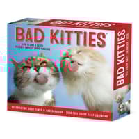 image Bad Kitties 2026 Desk Calendar Main Product Image