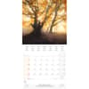 image Deep Forest 2025 Wall Calendar Third Alternate Image width=&quot;1000&quot; height=&quot;1000&quot;