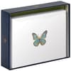 image Butterfly Boxed Note Cards Second Alternate Image width=&quot;1000&quot; height=&quot;1000&quot;