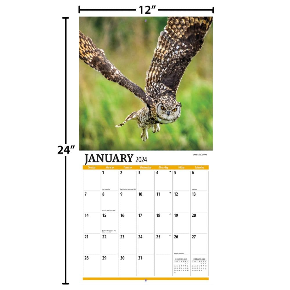 Birds Of Prey Photo 2024 Wall Calendar Alternate Image 4