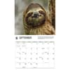 image Sloths WWF 2026 Wall Calendar Fourth Alternate Image