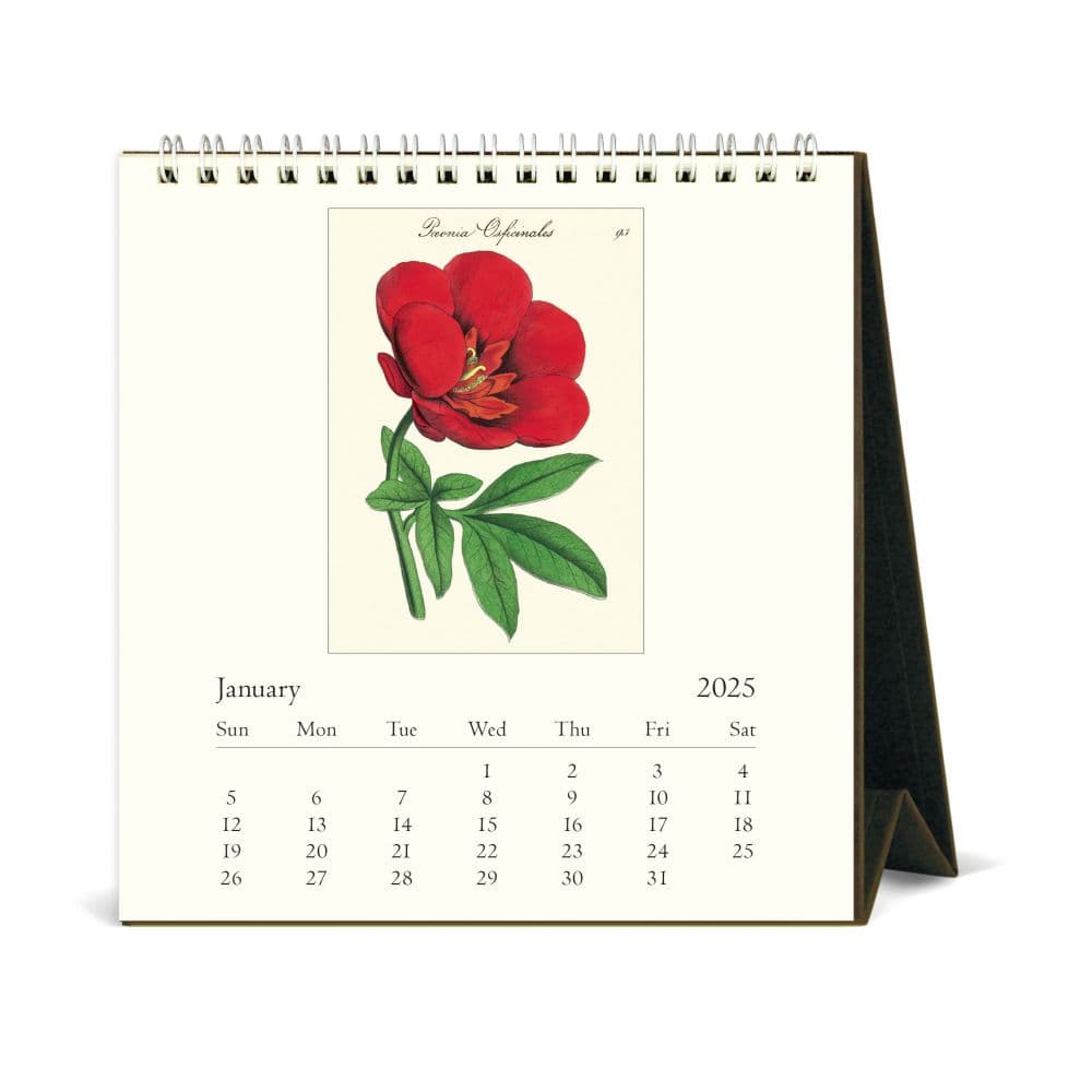 Botanica Art 2025 Easel Desk Calendar