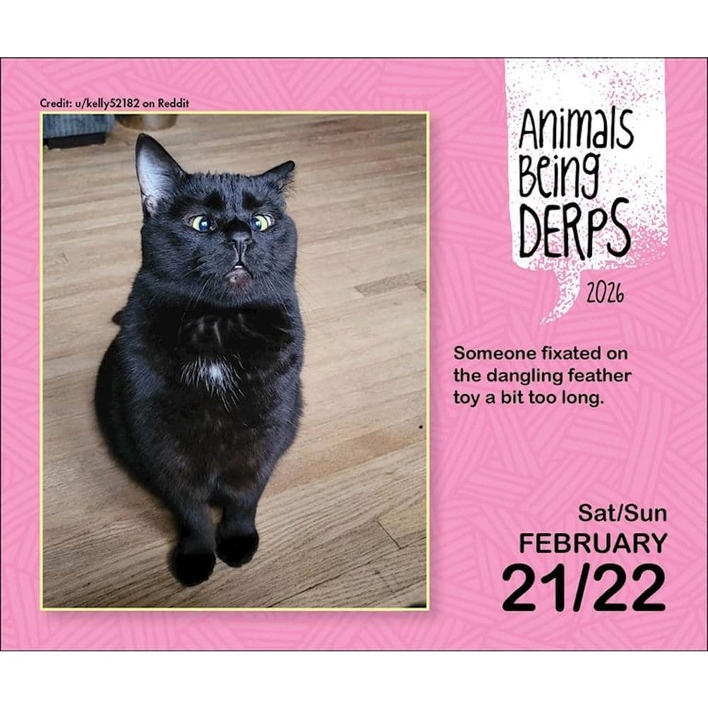 Animals Being Derps 2026 Desk Calendar Second Alternate Image