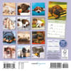 image Sleepy Puppies 2026 Mini Wall Calendar First Alternate Image