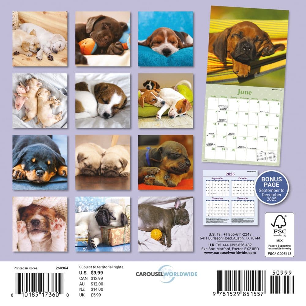 Sleepy Puppies 2026 Mini Wall Calendar First Alternate Image