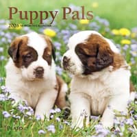 image Puppies For the Love 2026 Mini Wall Calendar