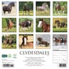image Clydesdales Horses 2025 Wall Calendar First Alternate Image width=&quot;1000&quot; height=&quot;1000&quot;
