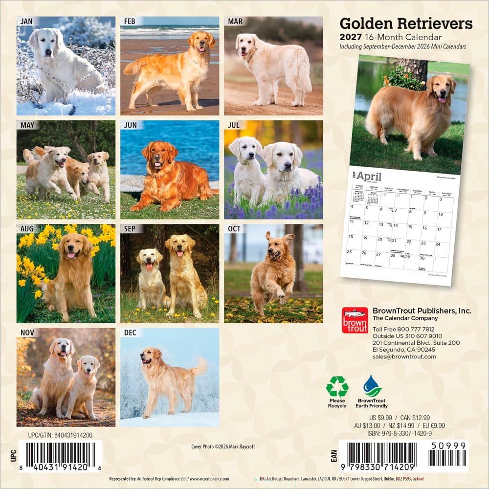 Golden Retrievers 2027 Mini Wall Calendar First Alternate Image