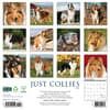 image Collies 2025 Wall Calendar