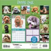 image Doodle Dogs Photo 2026 Wall Calendar