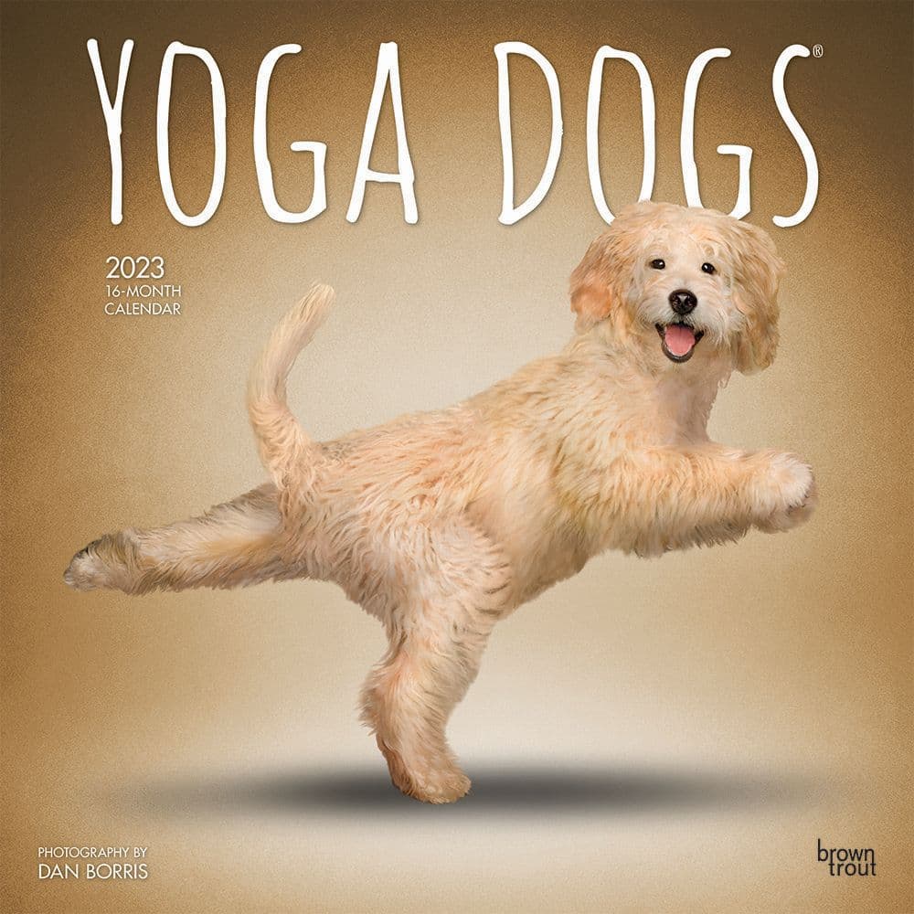 BrownTrout Yoga Dogs 2023 Square Wall Calendar