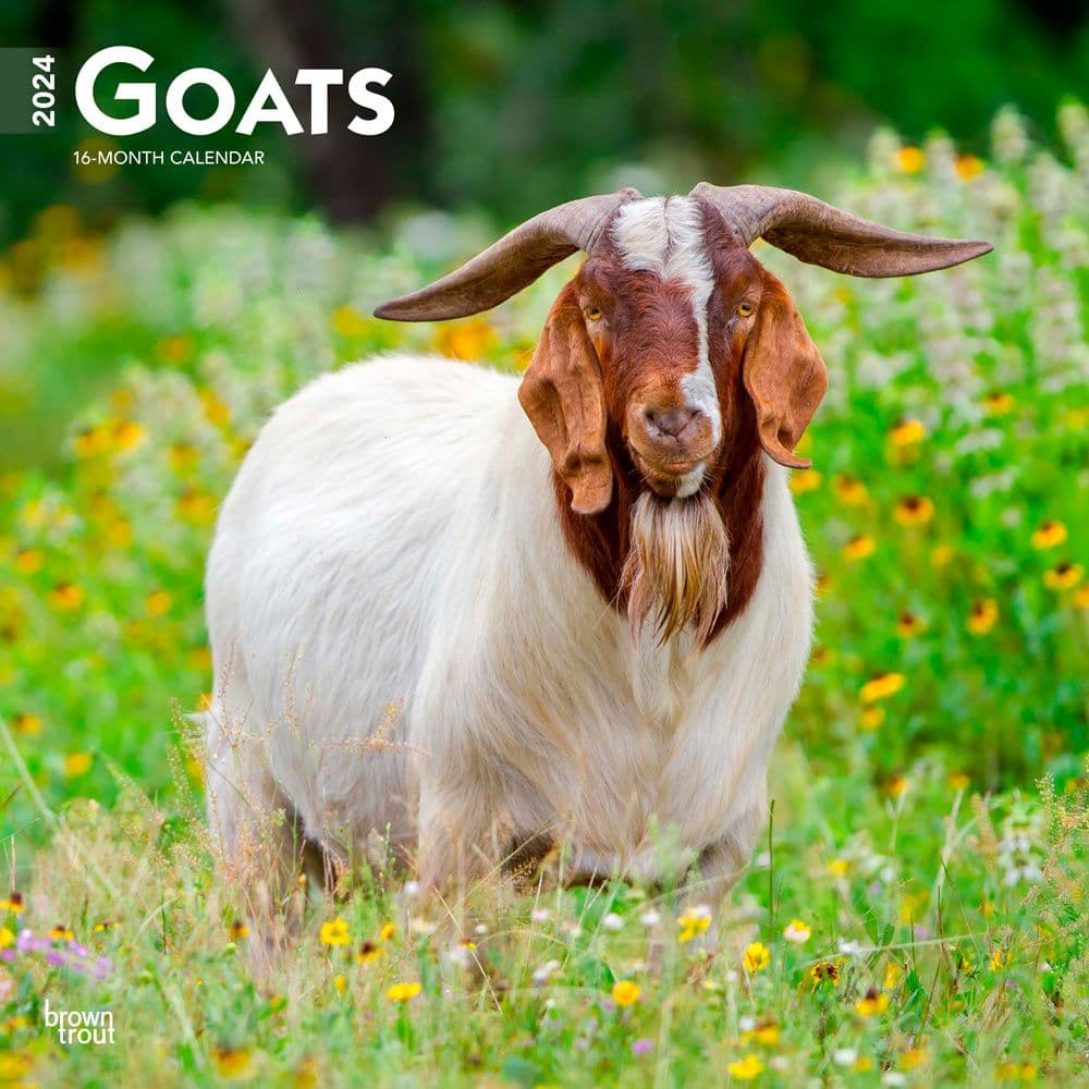 Goats 2024 Wall Calendar