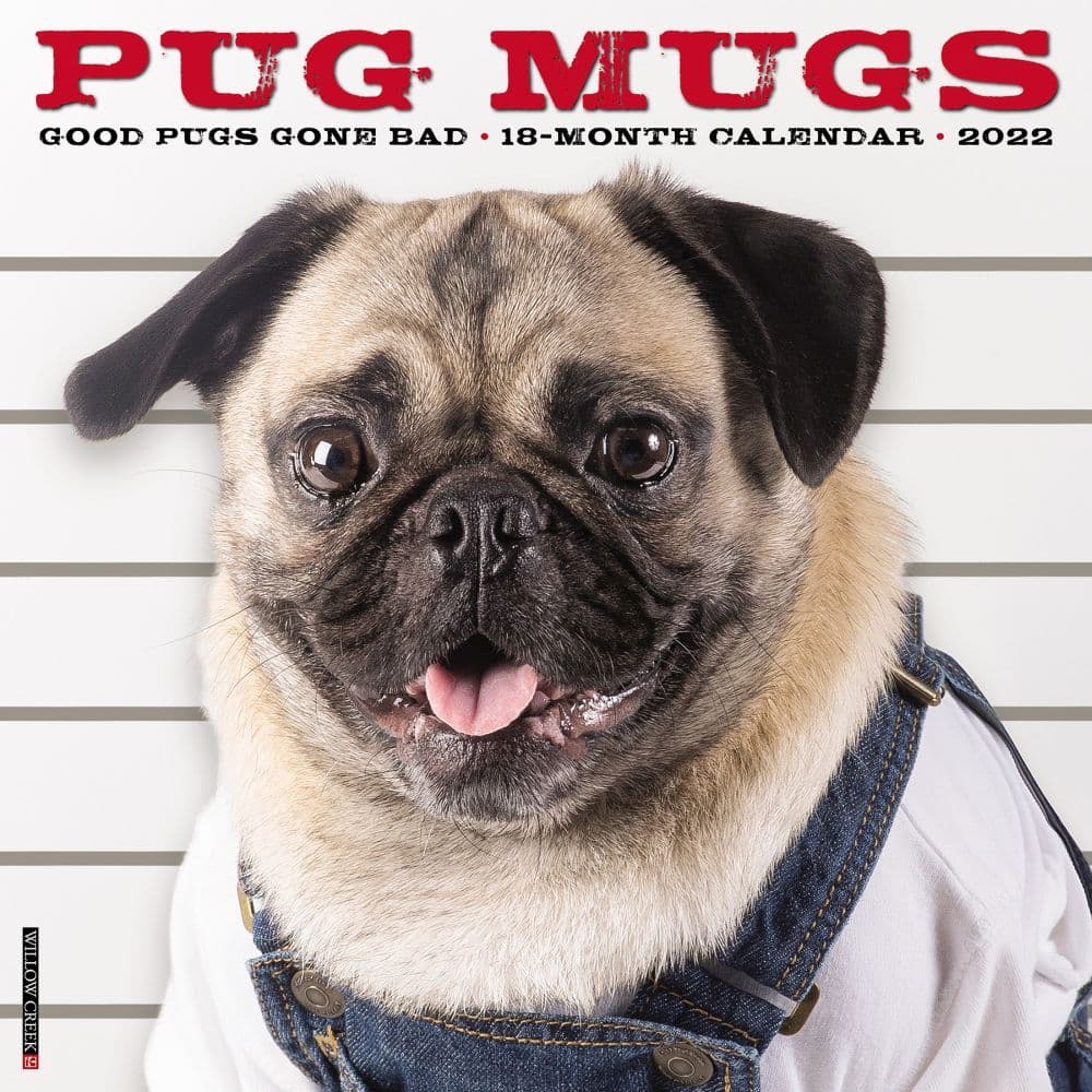 Pug Mugs 2022 Wall Calendar