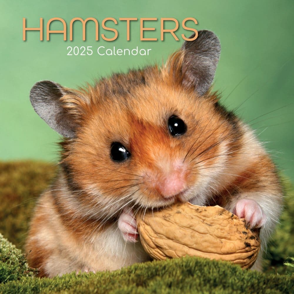 Hamsters 2025 Wall Calendar