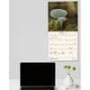 image Miraculous Mushroom 2025 Wall Calendar Fourth Alternate Image