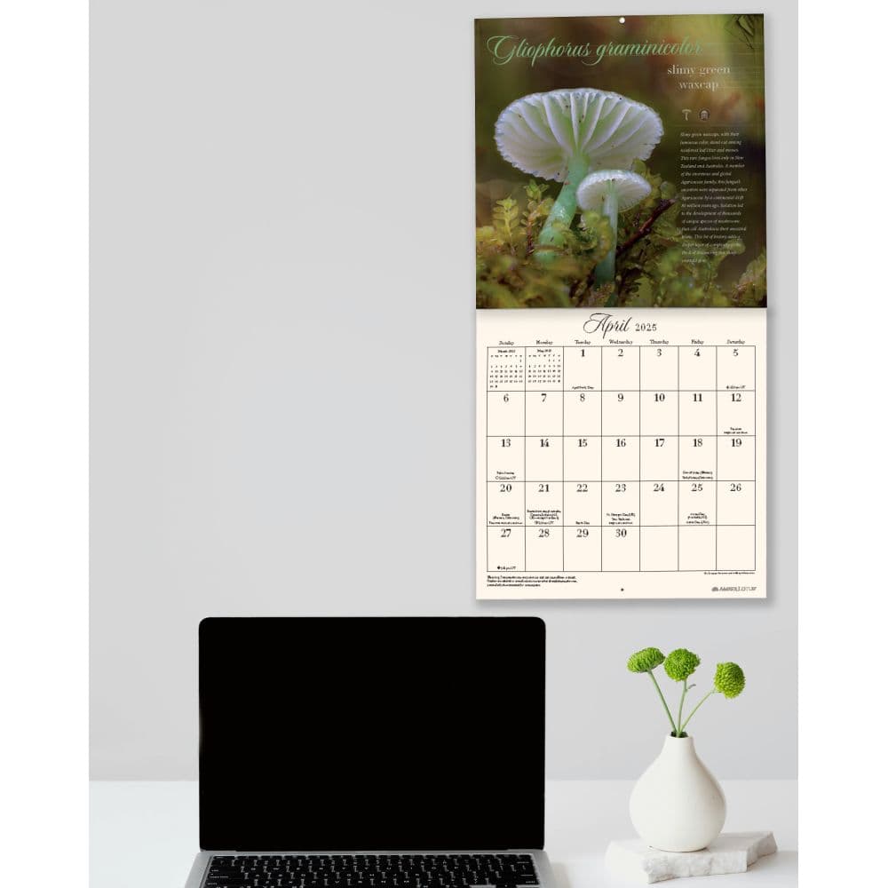 Miraculous Mushroom 2025 Wall Calendar Fourth Alternate Image