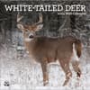 image White Tailed Deer 2024 Wall Calendar Front View