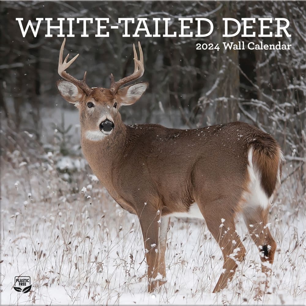 White Tailed Deer 2024 Wall Calendar Front View