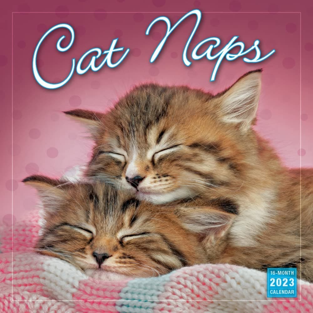 Cat Naps 2023 Wall Calendar - Calendars.com
