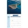 image Shark Year 2025 Wall Calendar Second Alternate Image width=&quot;1000&quot; height=&quot;1000&quot;