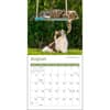 image Cats 2025 Mini Wall Calendar Third Alternate Image width="1000" height="1000"