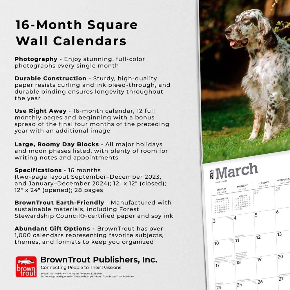 English Setters 2024 Wall Calendar Fourth Alternate Image width=&quot;1000&quot; height=&quot;1000&quot;