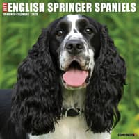 image Just English Springer Spaniels 2026 Wall Calendar Main Image