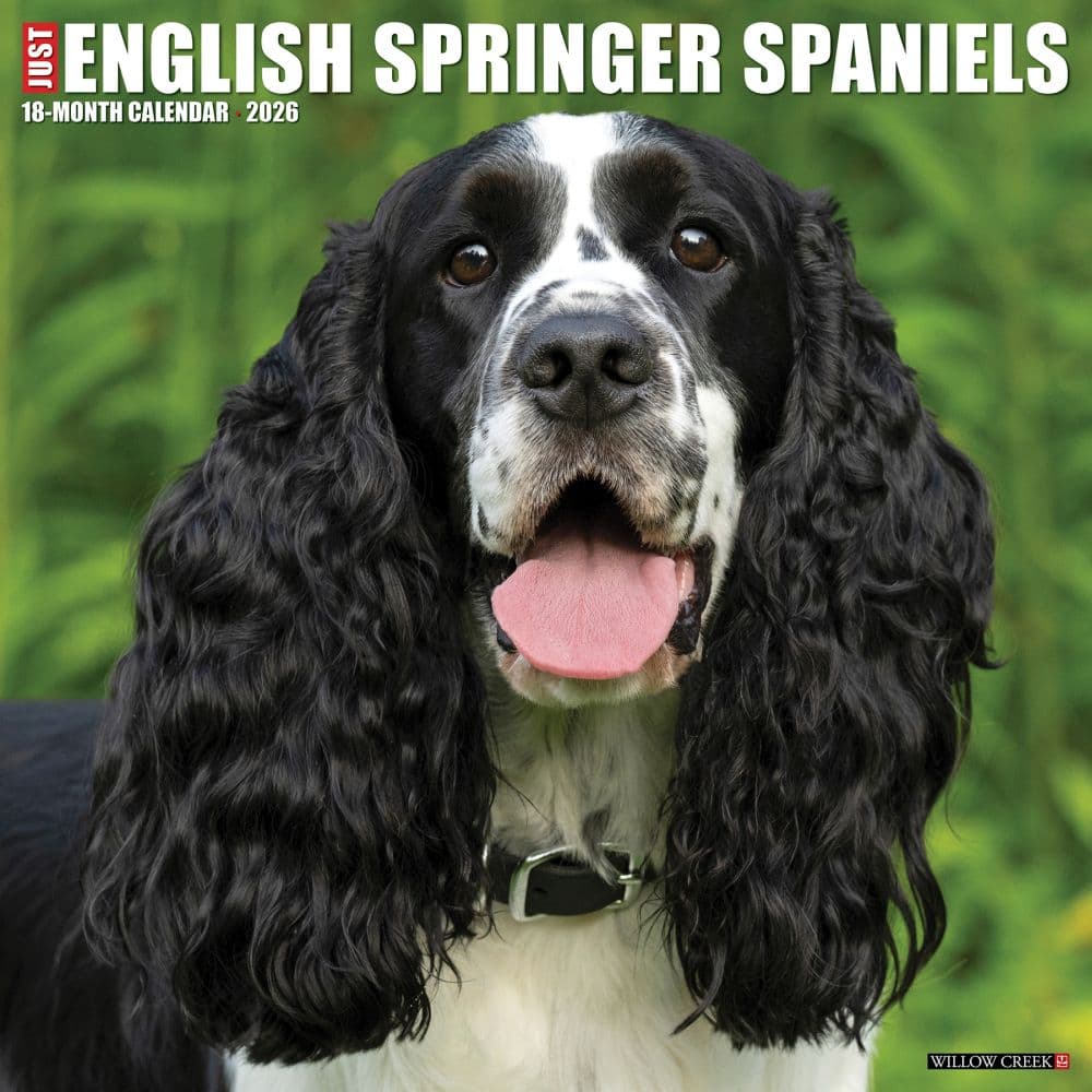 Just English Springer Spaniels 2026 Wall Calendar Main Image