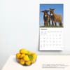 image Donkeys 2025 Wall Calendar Fourth Alternate Image