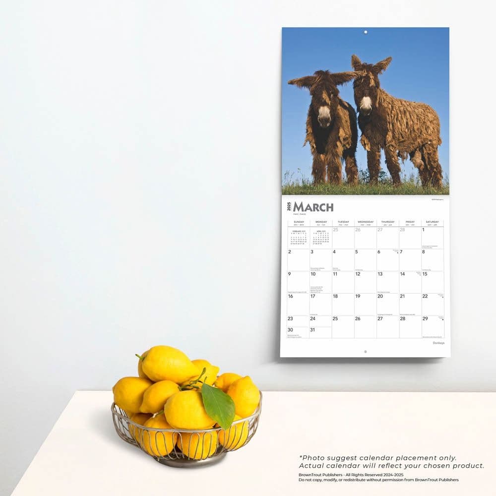 Donkeys 2025 Wall Calendar Fourth Alternate Image