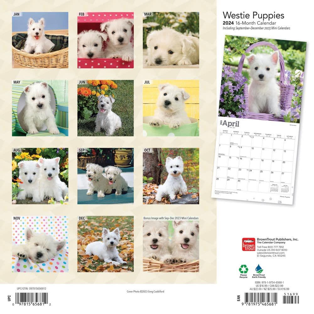 West Highland White Terrier Pups 2024 Wall Calendar First Alternate Image width=&quot;1000&quot; height=&quot;1000&quot;