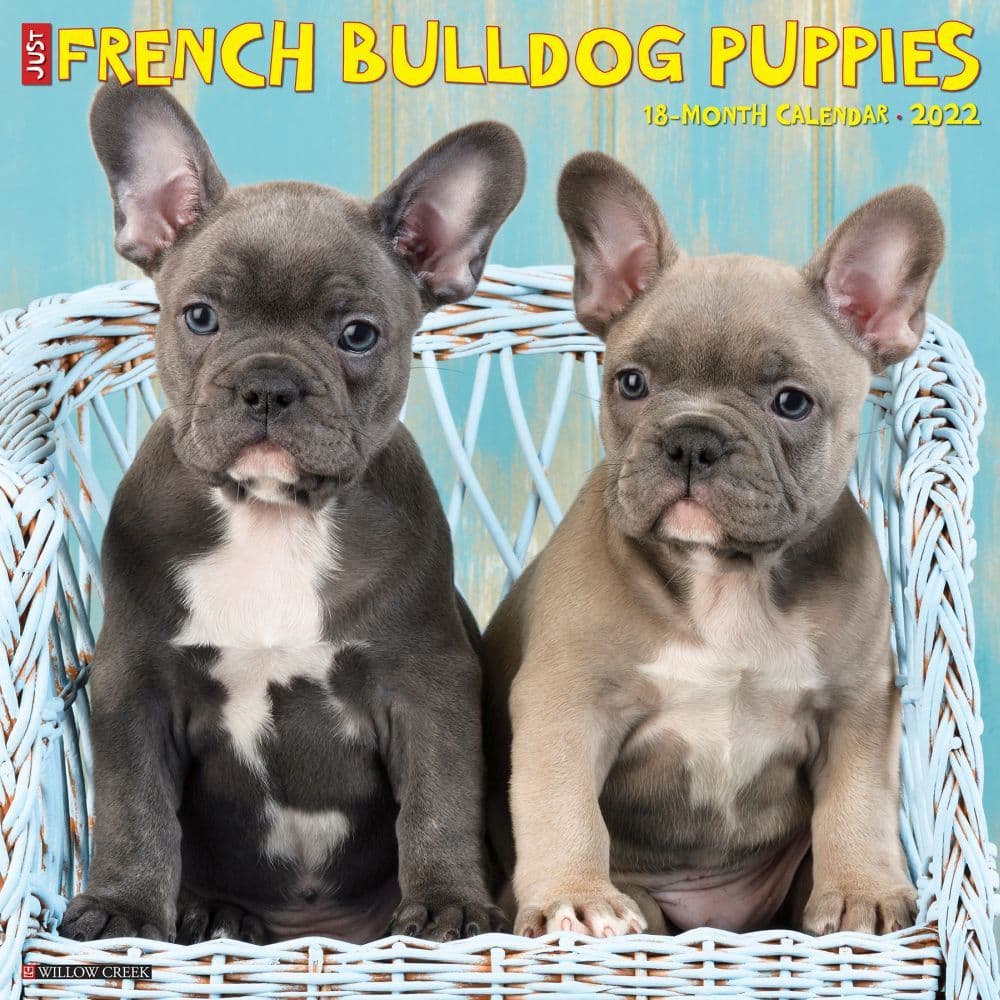 French Bulldog Puppies 2022 Wall Calendar