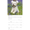 image Bichon Frise Puppies 2026 Wall Calendar Third  Alternate Image