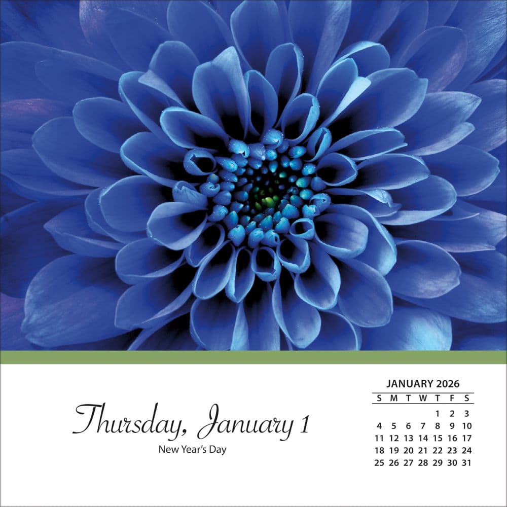 Flowers 2026 Desk Calendar_ALT2