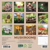 image Mushrooms 2024 Mini Wall Calendar Alt1